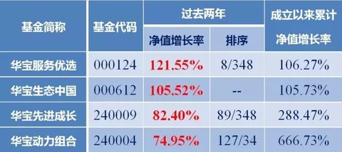 900013基金最新一期净值揭晓，实时追踪投资风向标